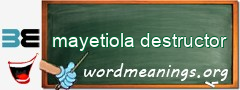 WordMeaning blackboard for mayetiola destructor